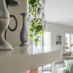 Maison Russie - Grande Maison Climatisee Avec Parking Centre Vichy